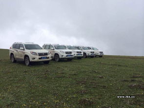 专注西藏318 自驾、代驾与租车服务全攻略